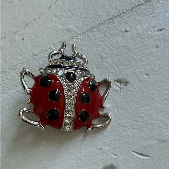 Red and Black Ladybug Brooch - Picture 2 of 5